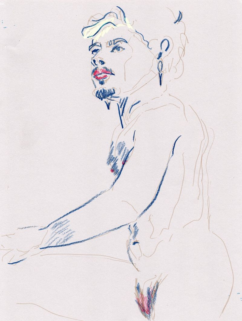 A pencil drawing of zephyr