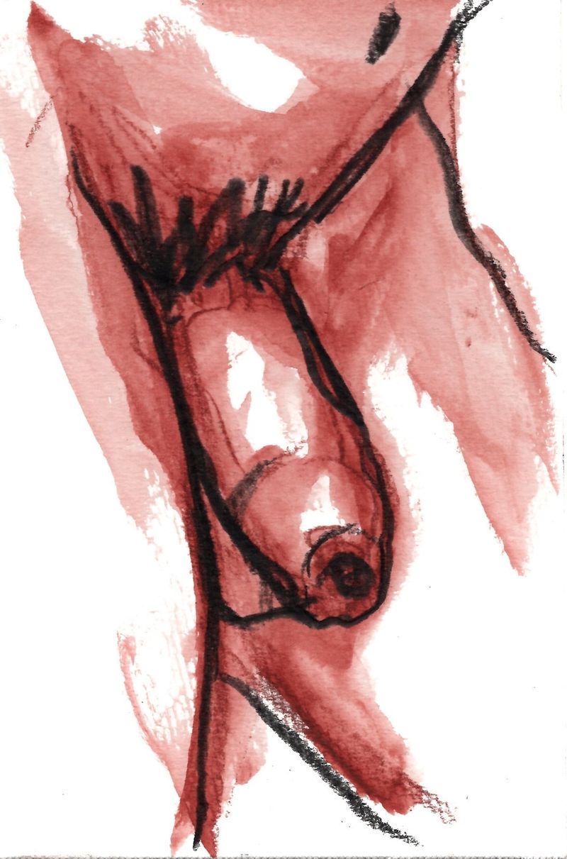 Dick drawing- 4x6 paper