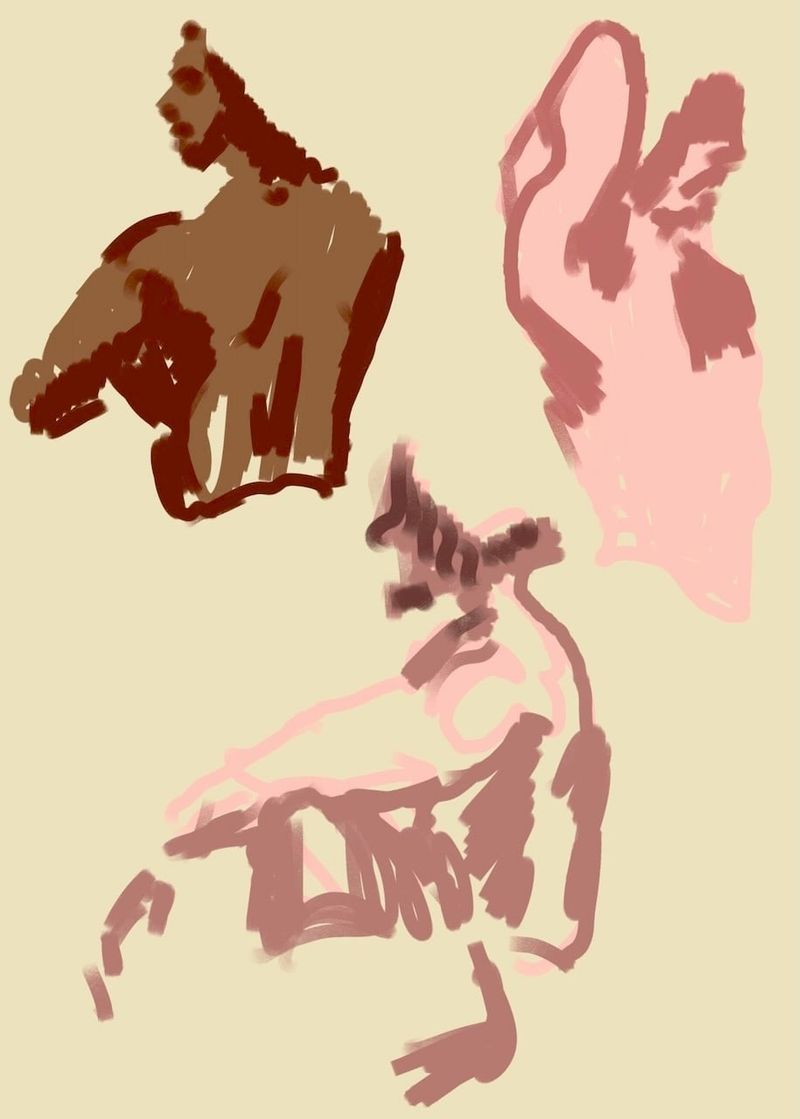 Additional gestures on Procreate